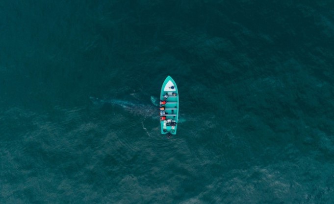 FOTO // O balenă uriașă se „joacă” și împinge cu botul o barcă cu turiști. Imagini spectaculoase surprinse din dronă